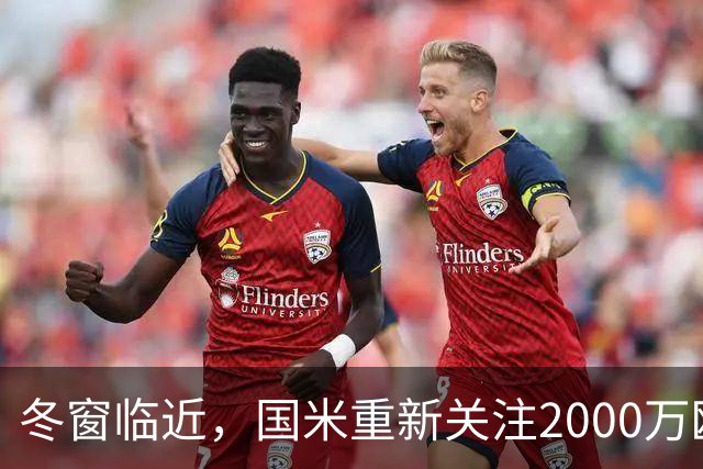 冬窗临近，国米重新关注2000万欧元27岁1米97乌迪内斯门将奥科耶