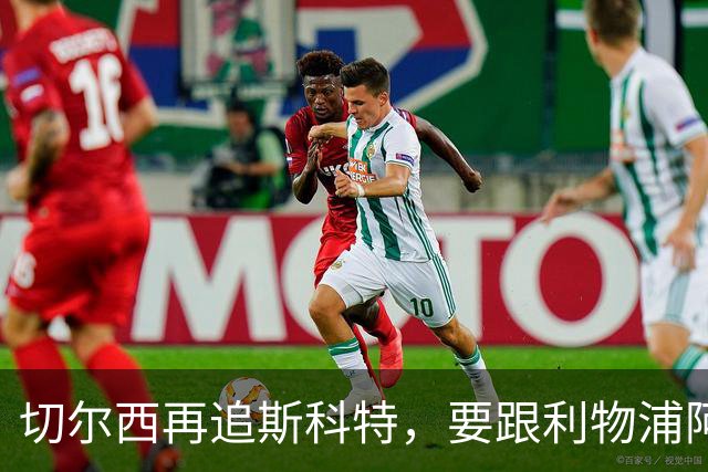 切尔西再追斯科特，要跟利物浦阿森纳热刺抢人