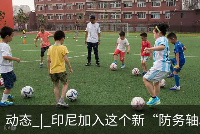 动态 | 印尼加入这个新“防务轴心”，印度深感恐慌！