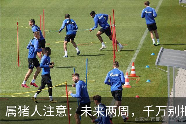 属猪人注意：未来两周，千万别把送上门的好事推走