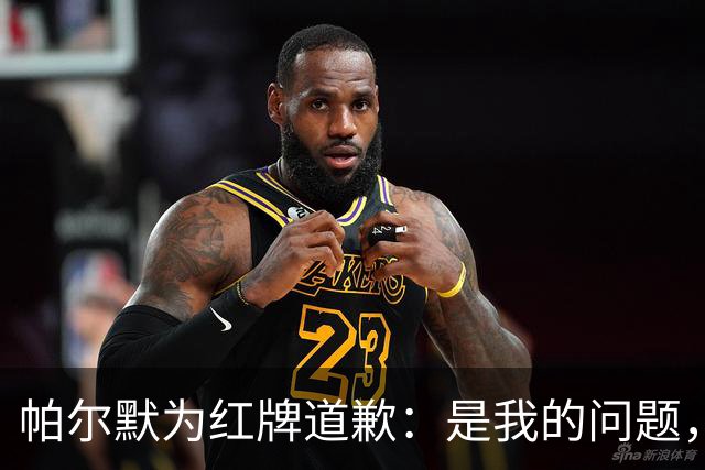 帕尔默为红牌道歉：是我的问题，会吸取教训