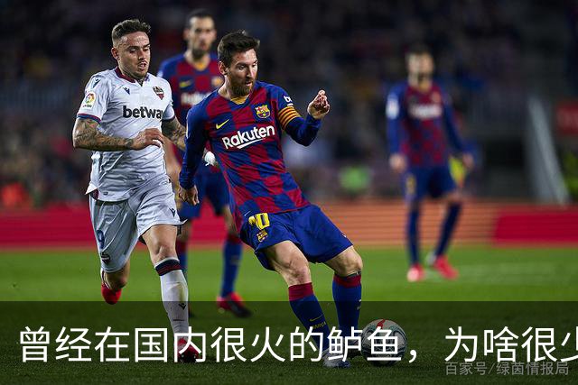 曾经在国内很火的鲈鱼，为啥很少人吃了，鱼贩子：4大原因影响大