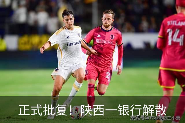 正式批复！陕西一银行解散