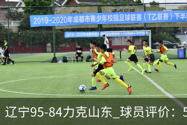 辽宁95-84力克山东 球员评价：5人优秀，4人及格，2人低迷