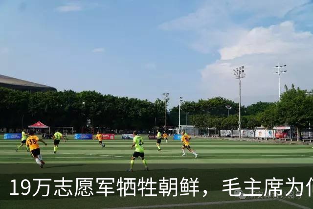 19万志愿军牺牲朝鲜，毛主席为何下令不惜代价抢回701遗体？